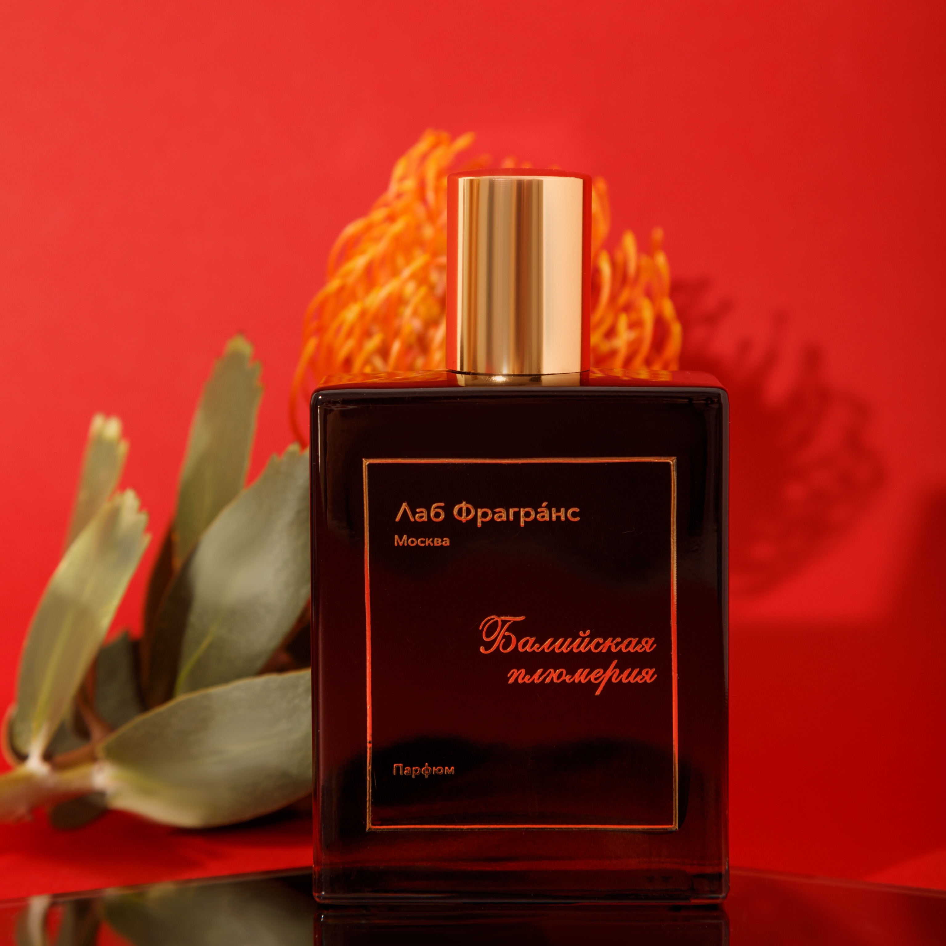 Parfum laboratory fragrance made in france. Смотреть фото Parfum laboratory fragrance made in france. Смотреть картинку Parfum laboratory fragrance made in france. Картинка про Parfum laboratory fragrance made in france. Фото Parfum laboratory fragrance made in france