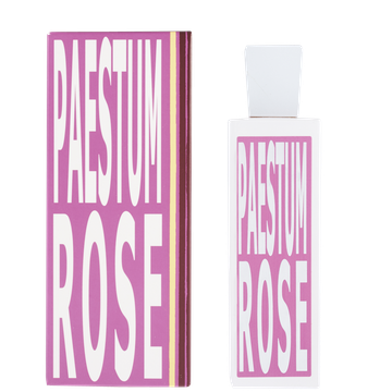 Paestum Rose / Паэстумская роза
