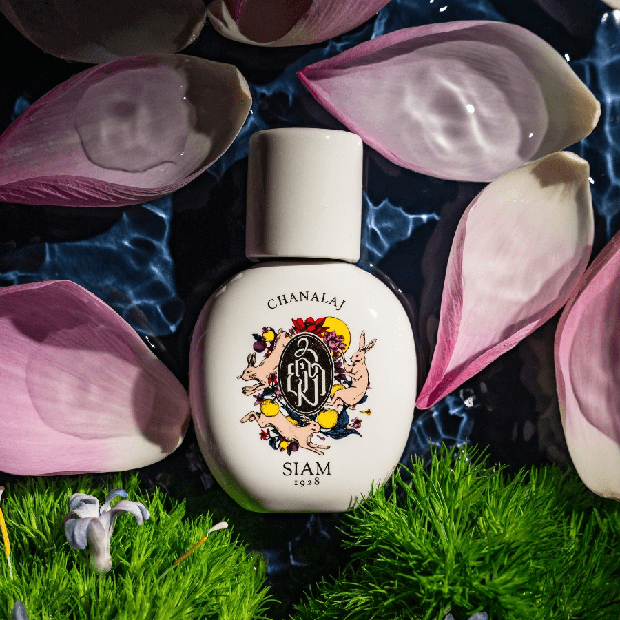 Фотография 1