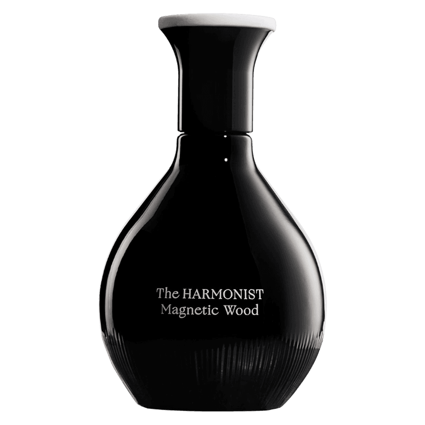 Magnetic Wood / Магнетическое дерево