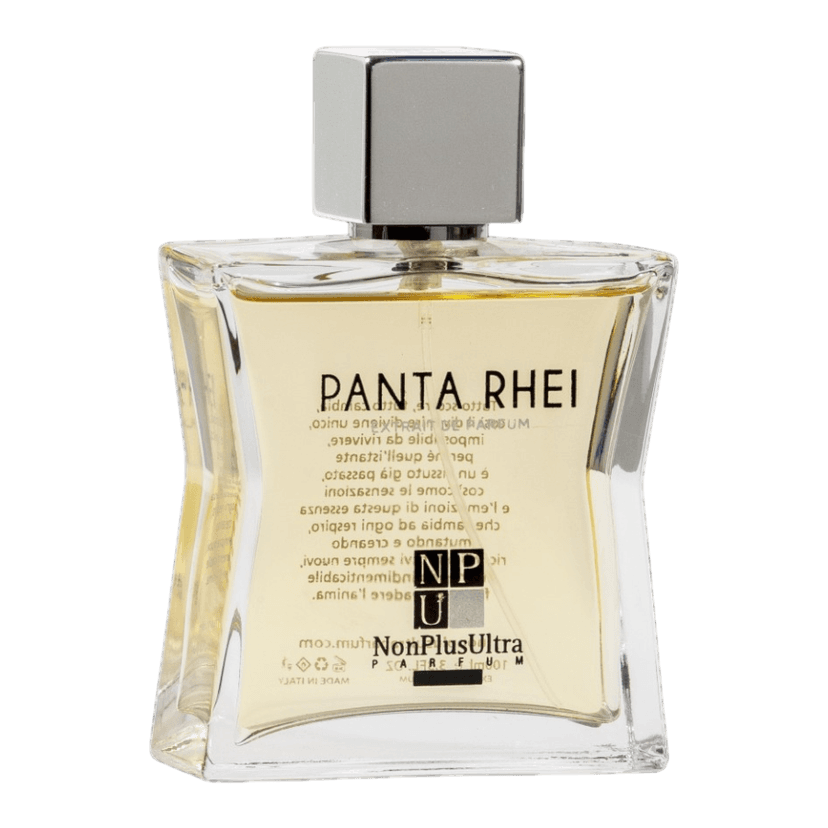 PANTA RHEI / Всегда идет дождь