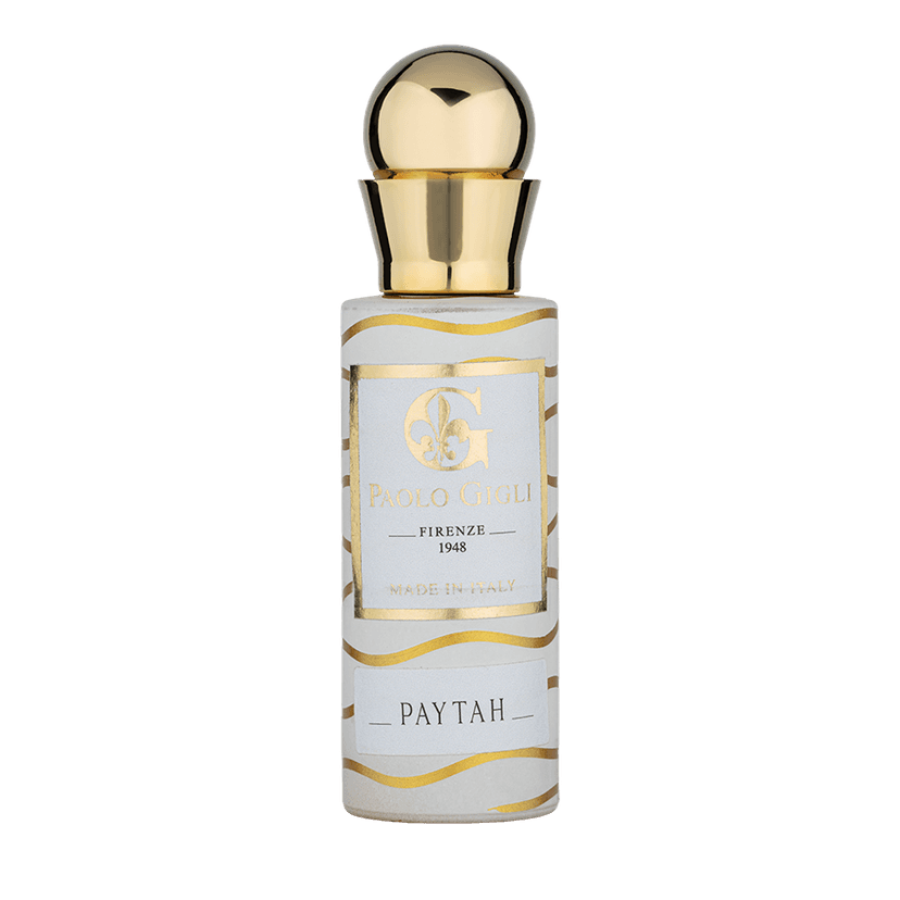 PAYTAH / Огонь