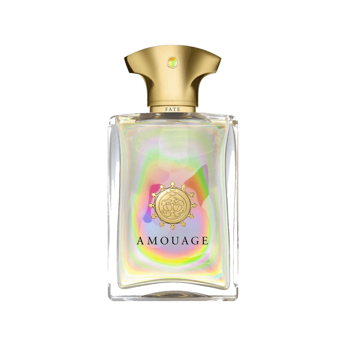 Фотография 1