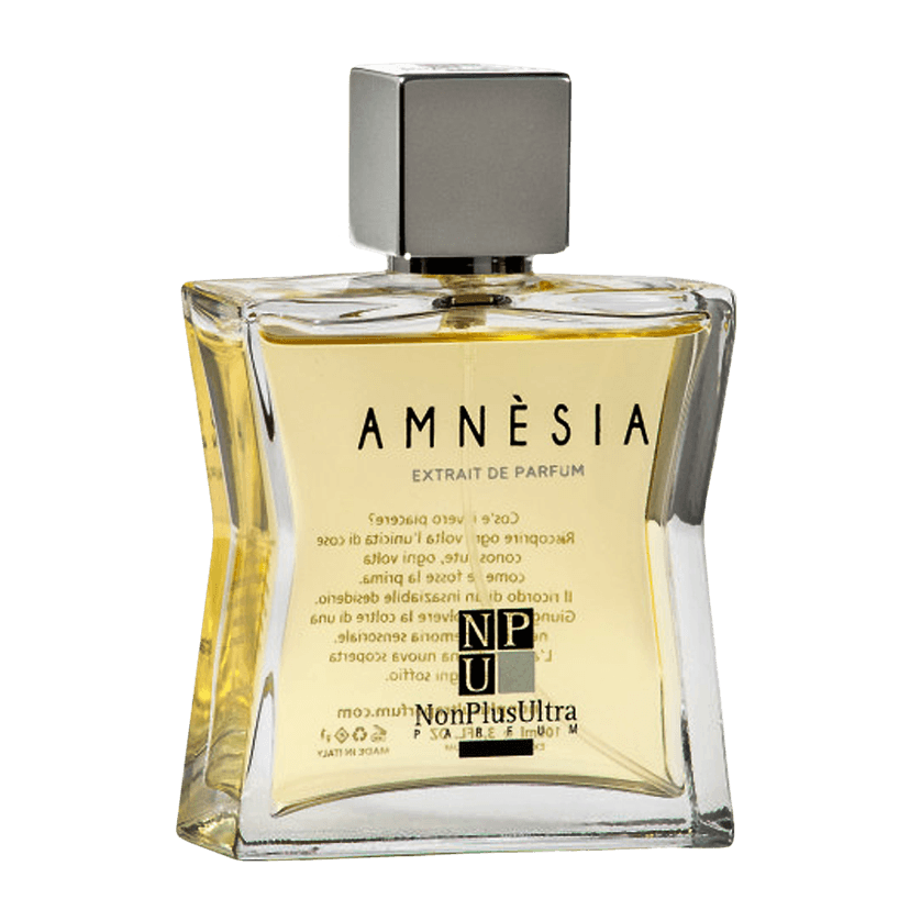 AMNESIA / Амнезия