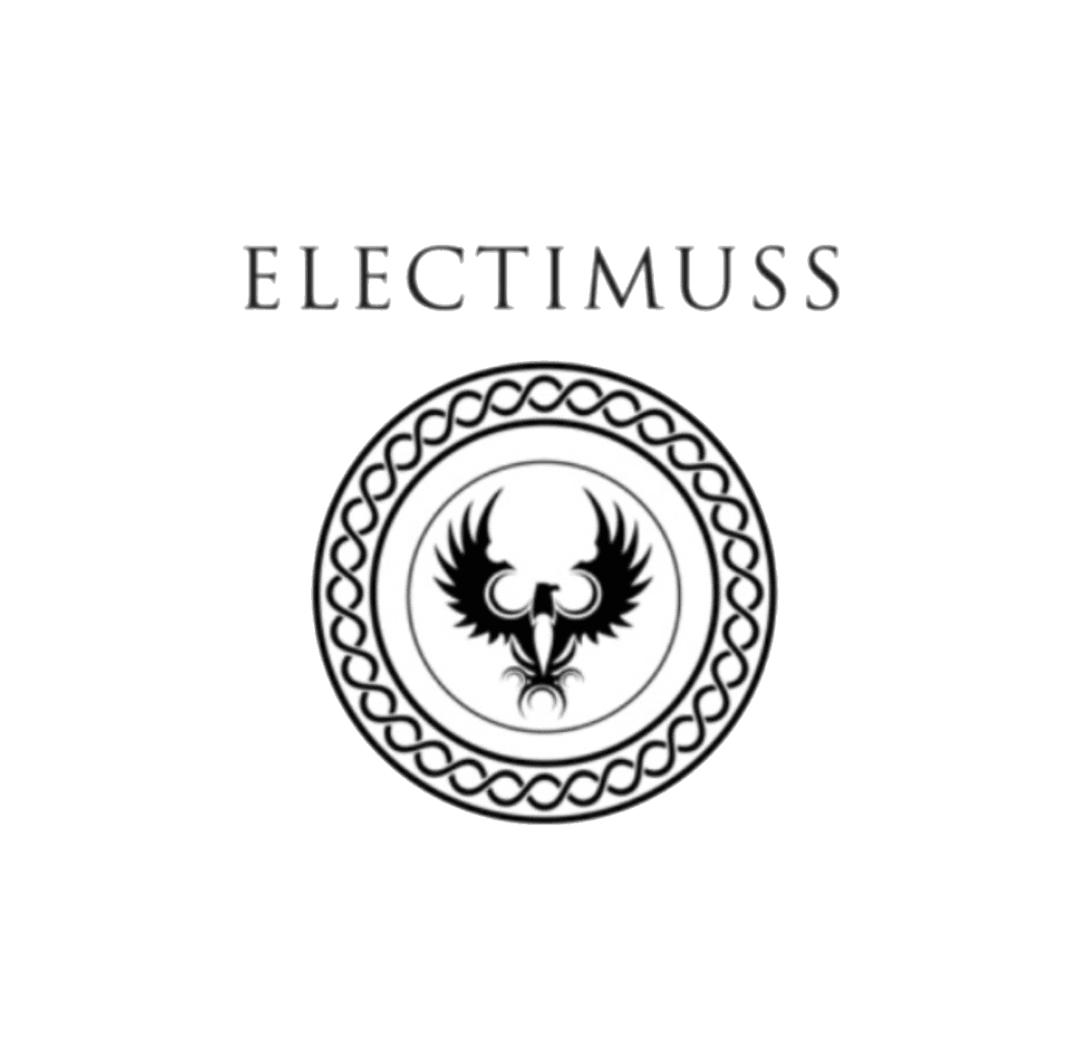 Духи Electimuss  - купить по выгодной цене.