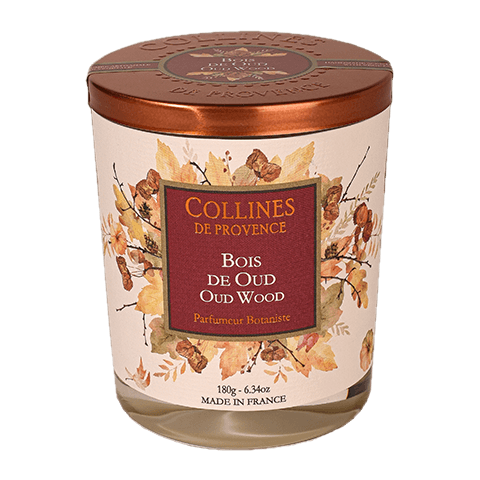 Фотография 0