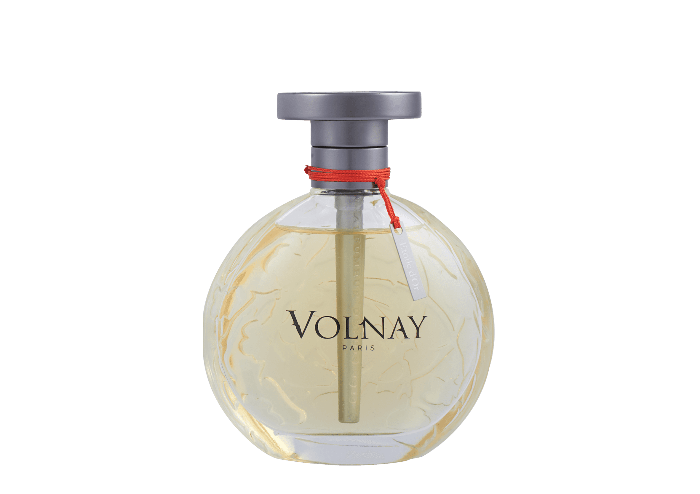 Фотография 1