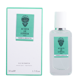 Verbena / Вербена