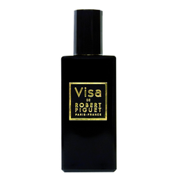 Visa / Виза
