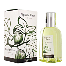Figuier Fleur / Цветок инжира