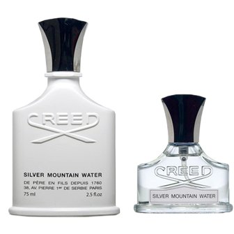 SILVER MOUNTAIN WATER / Серебряная горная вода