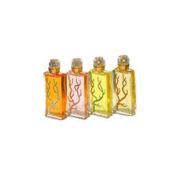Coffret 6x30ml / Набор коллекционный 6х30 мл (Гаяк, Авангард, Сокровище для него, Королевский мускус, Ванильный мандарин, Ночной Уд)